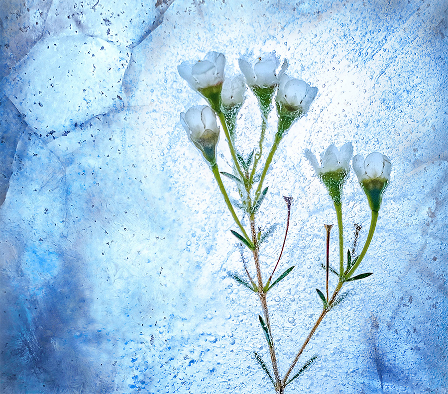 All Time Is Eternally Present